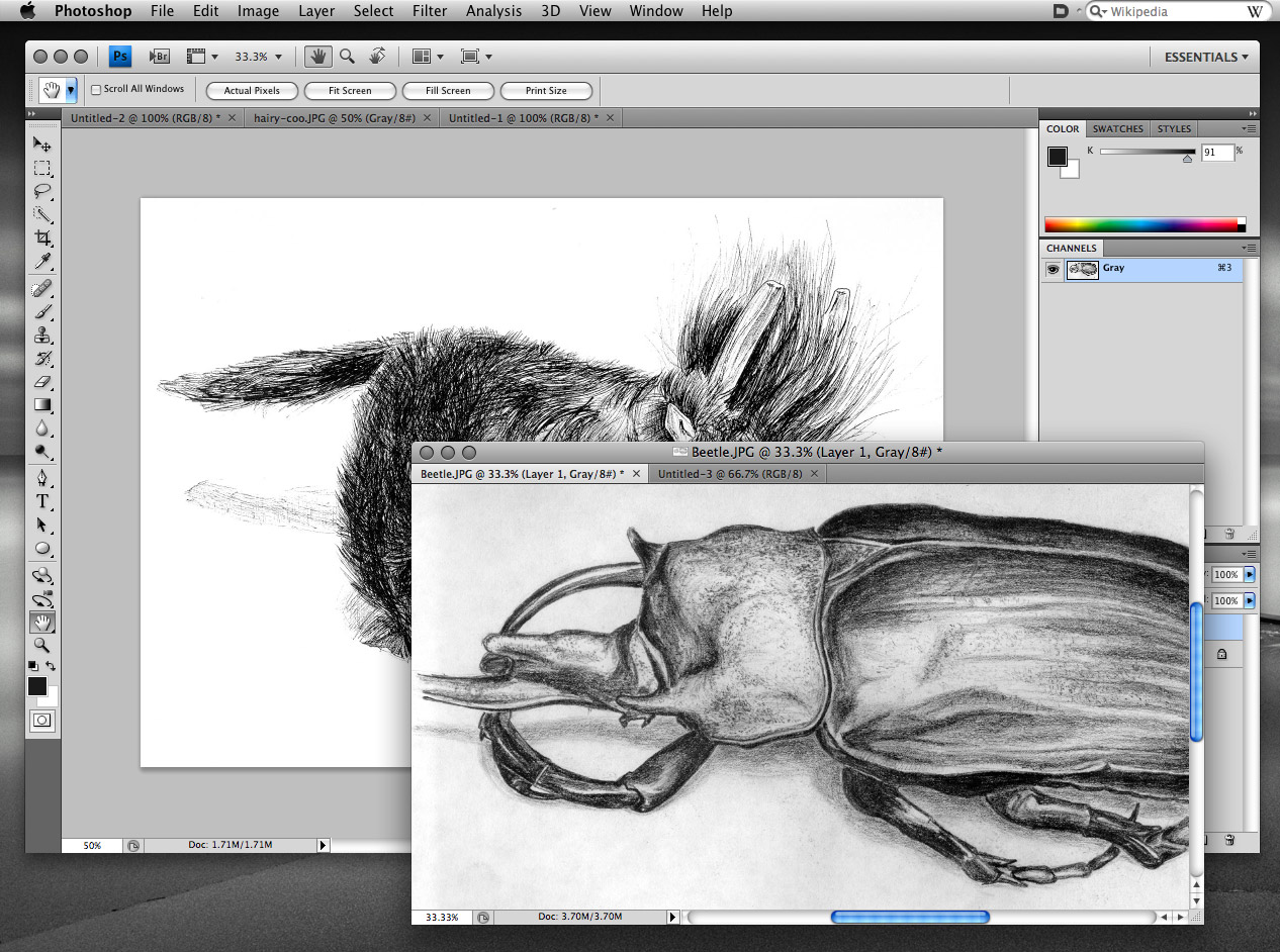 Download Adobe Illustrator Cs4 For Mac